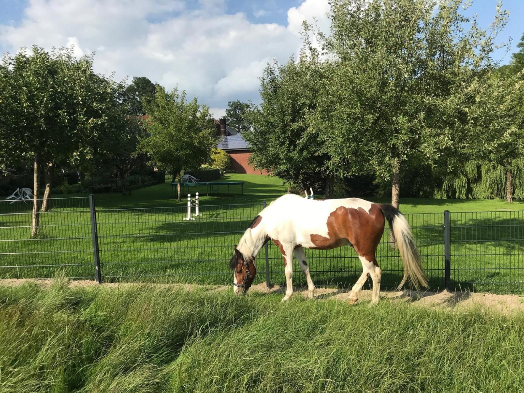 Gutshof Schulze-Althoff Pension Schöppingen Buitenkant foto